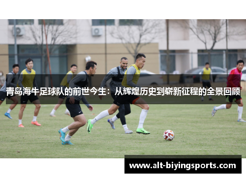 青岛海牛足球队的前世今生：从辉煌历史到崭新征程的全景回顾